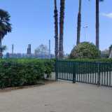 Nel quartiere Madonnella ha sede dal 2013 la prima area cani aperta a Bari. � posta all�interno del Giardino Veterani dello Sport. La sua posizione vista mare la rende tra le pi� appetibili della citt� e gli animali possono giocare in aiuole abbastanza ombreggiate